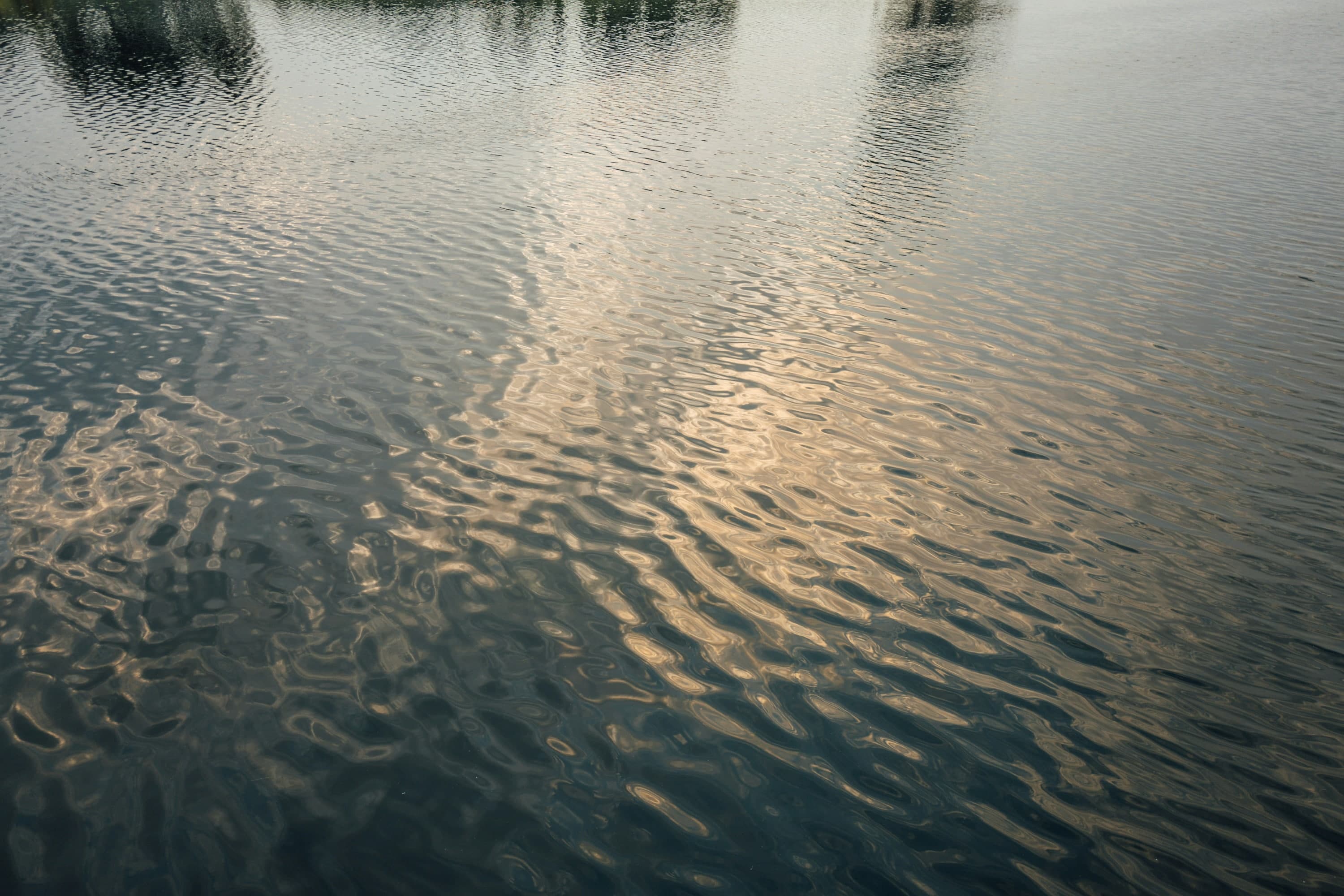 Flow Fest Background