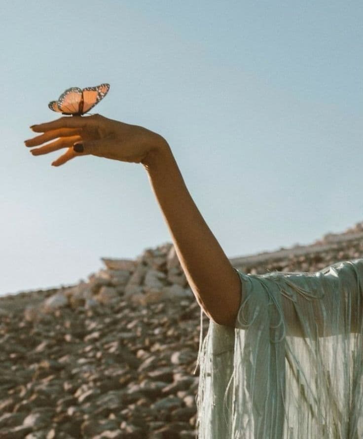 Wellness vendors and partners collaborating at FlowFest