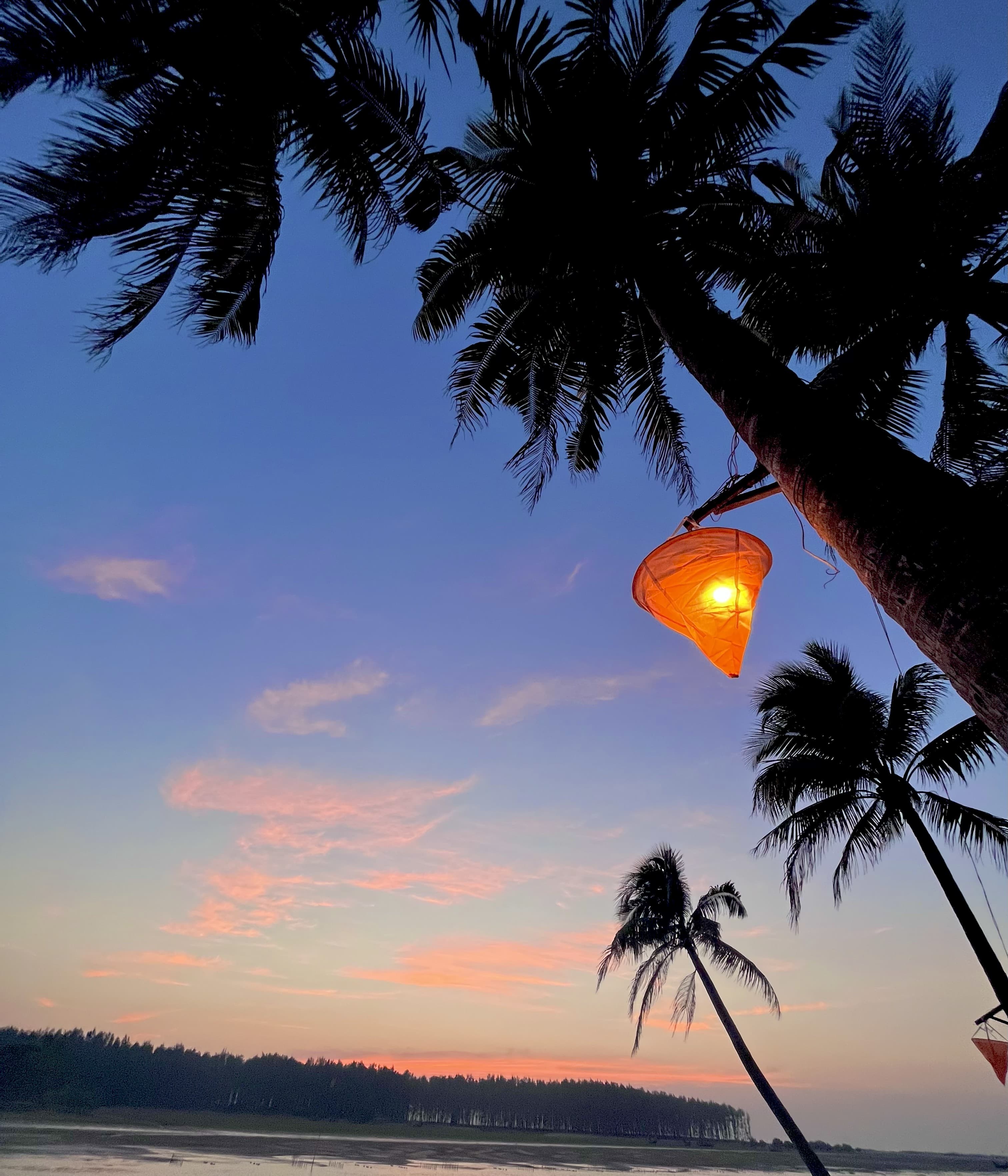 People practicing mindful movement in nature